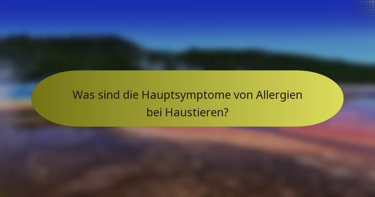 Was sind die Hauptsymptome von Allergien bei Haustieren?