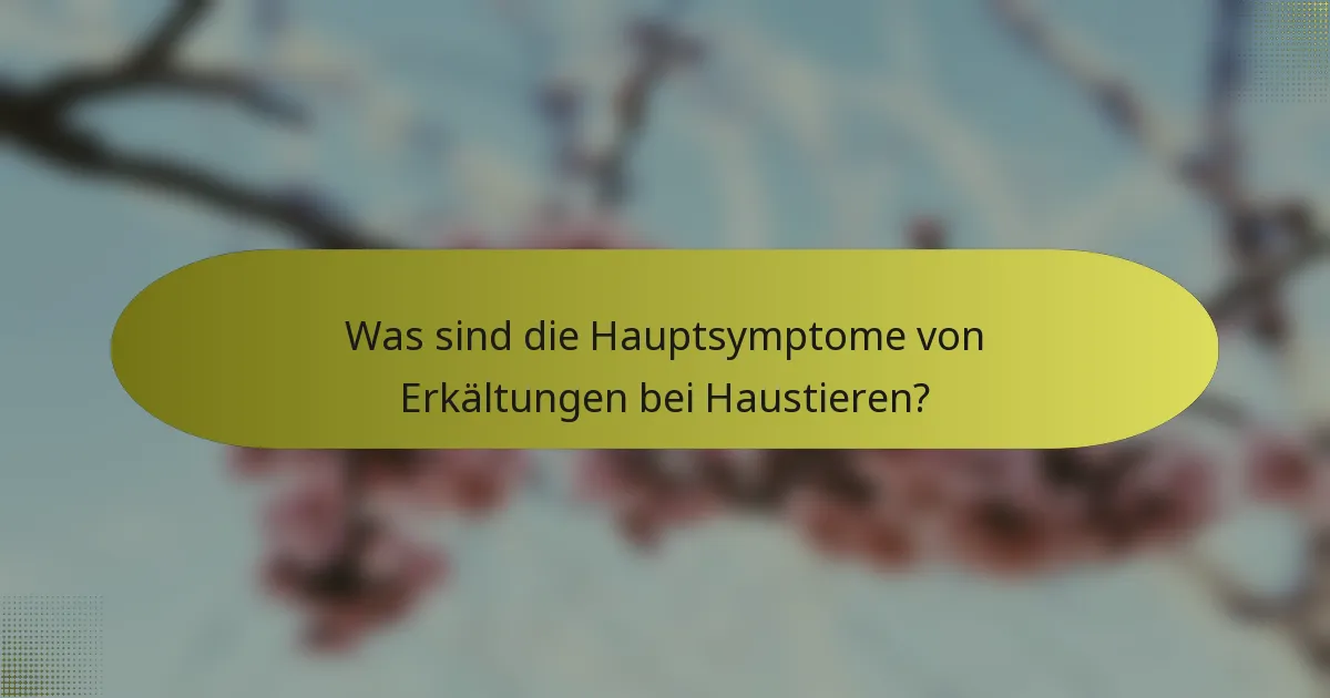 Was sind die Hauptsymptome von Erkältungen bei Haustieren?