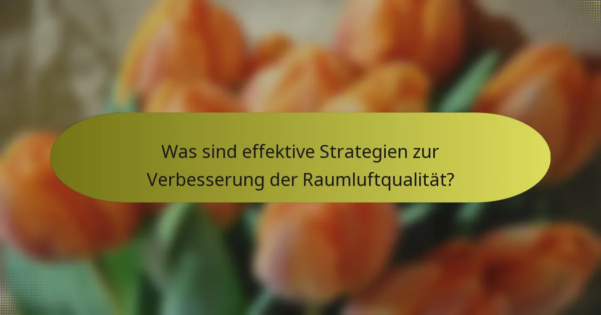 Was sind effektive Strategien zur Verbesserung der Raumluftqualität?