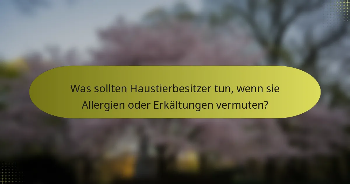 Was sollten Haustierbesitzer tun, wenn sie Allergien oder Erkältungen vermuten?