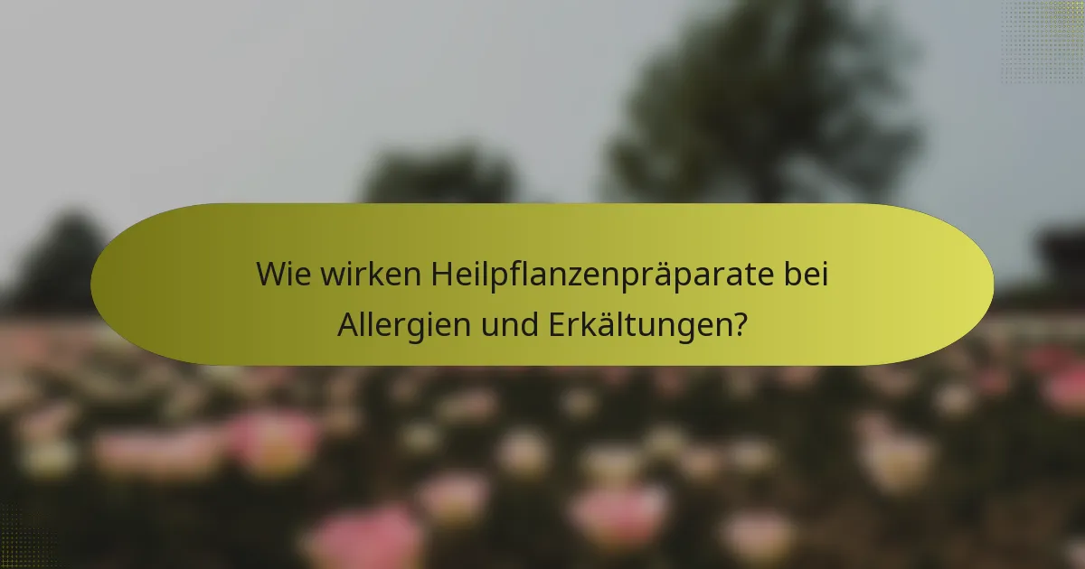 Wie wirken Heilpflanzenpräparate bei Allergien und Erkältungen?